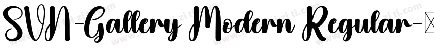 SVN-Gallery Modern Regular字体转换